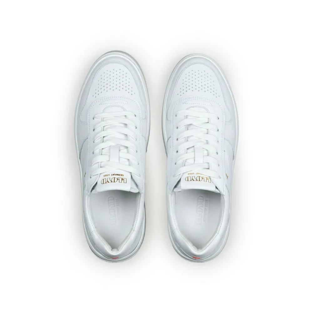 Lloyd Sneaker-Damen Sneaker & Schnürer