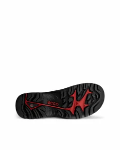 Ecco Wanderschuhe-Herren Wandern & Trekking|Sneaker & Schnürer